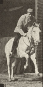 Plate 635 'Pandora' galloping, saddled — figure reference